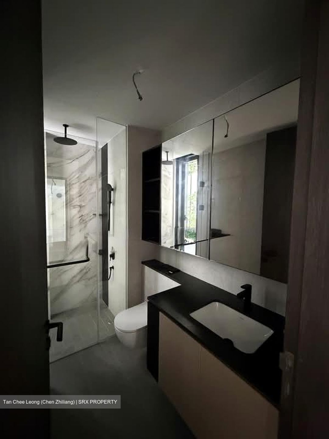 Jervois Road (D10), Condominium #534910151